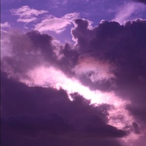 Meet your Posher, Peyton